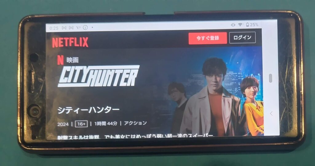 Netflixおすすめ邦画：シティーハンター