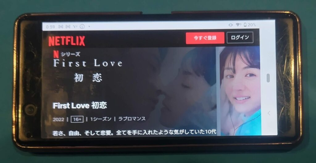 Netflixおすすめ日本ドラマ：FirstLove初恋