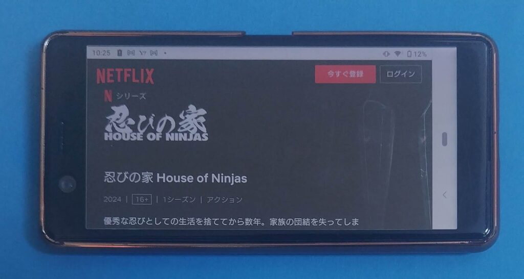 Netflixおすすめオリジナルドラマ：忍びの家