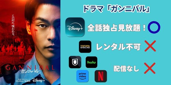 ガンニバル 配信