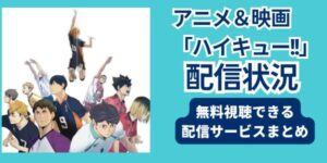 アニメ「ハイキュー!!」シリーズ　配信状況