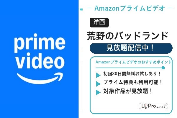 荒野のバッドランド Amazon