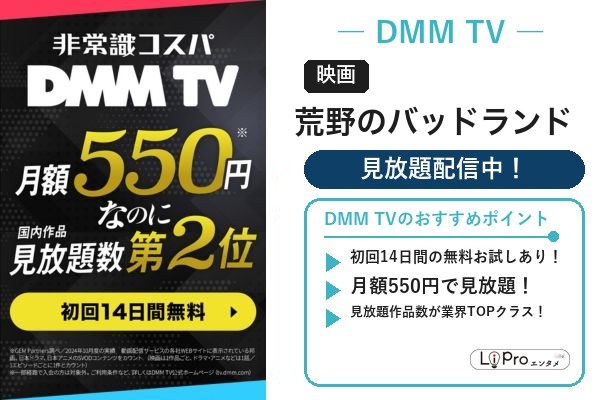 荒野のバッドランド DMM TV