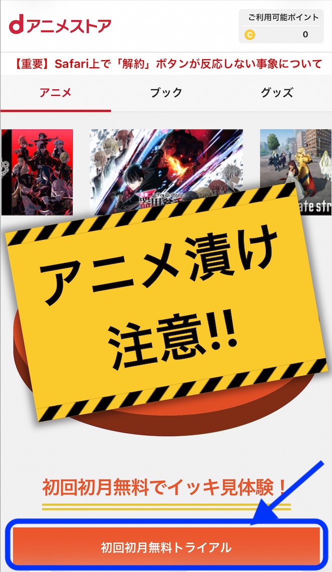 dアニメストア