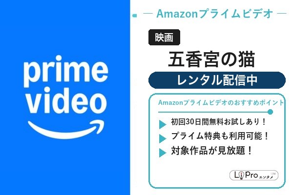 五香宮の猫 Amazon
