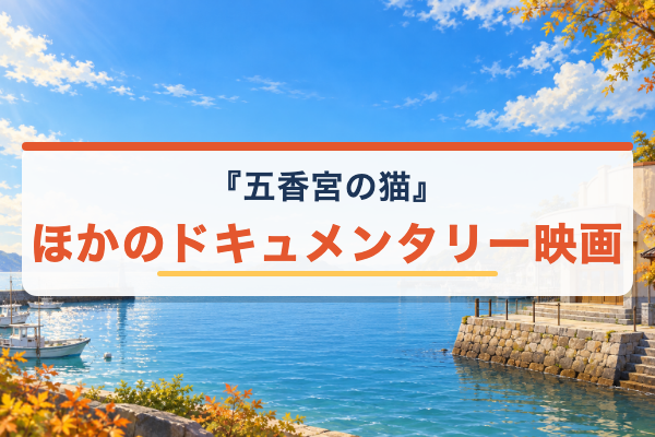 五香宮の猫 関連作