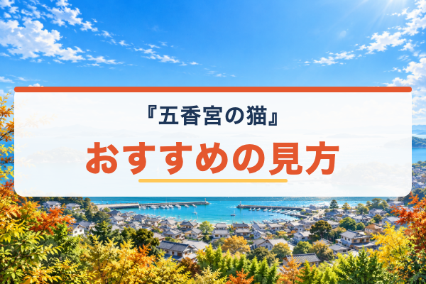 五香宮の猫 おすすめ