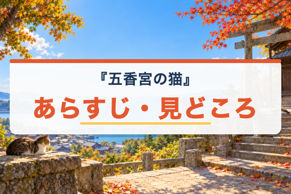 五香宮の猫 あらすじ