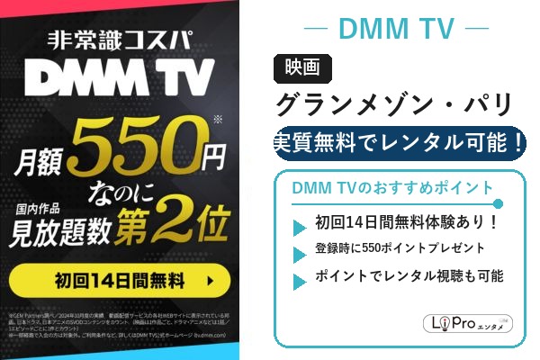 グランメゾン・パリ DMM TV 配信状況