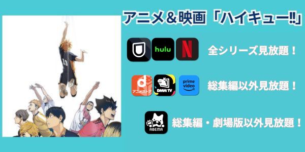 アニメ 映画 ハイキュー サブスク