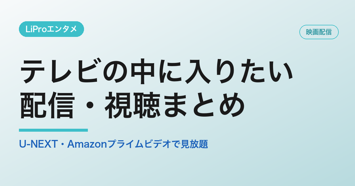 テレビの中に入りたいの配信・視聴方法