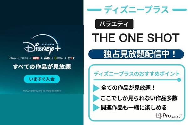 THE ONE SHOT 配信状況