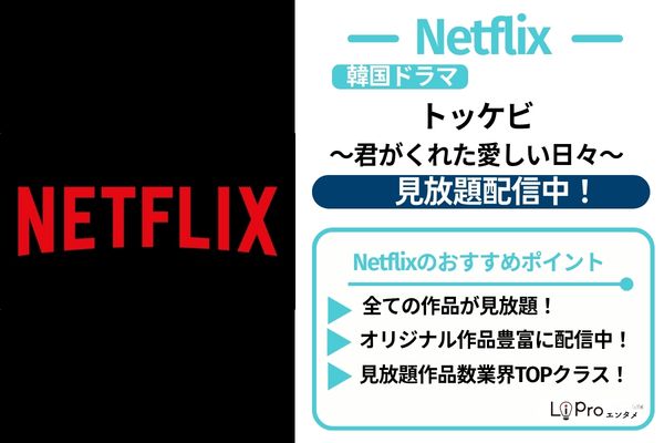 トッケビ Netflix 見放題配信中