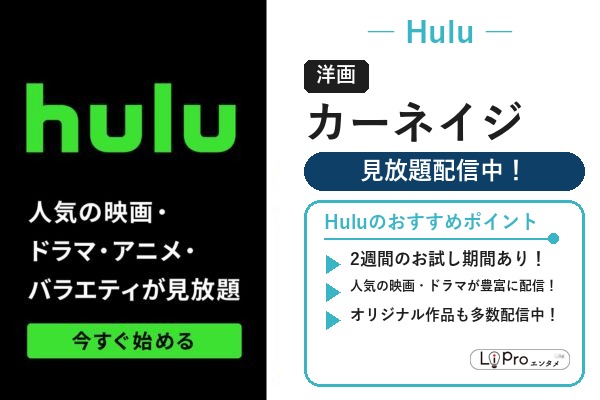 Hulu スパイダーマン/ヴェノム『カーネイジ』の配信状況バナー