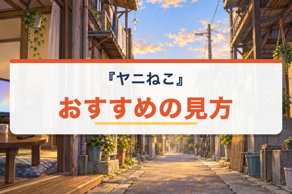 ヤニねこ おすすめ